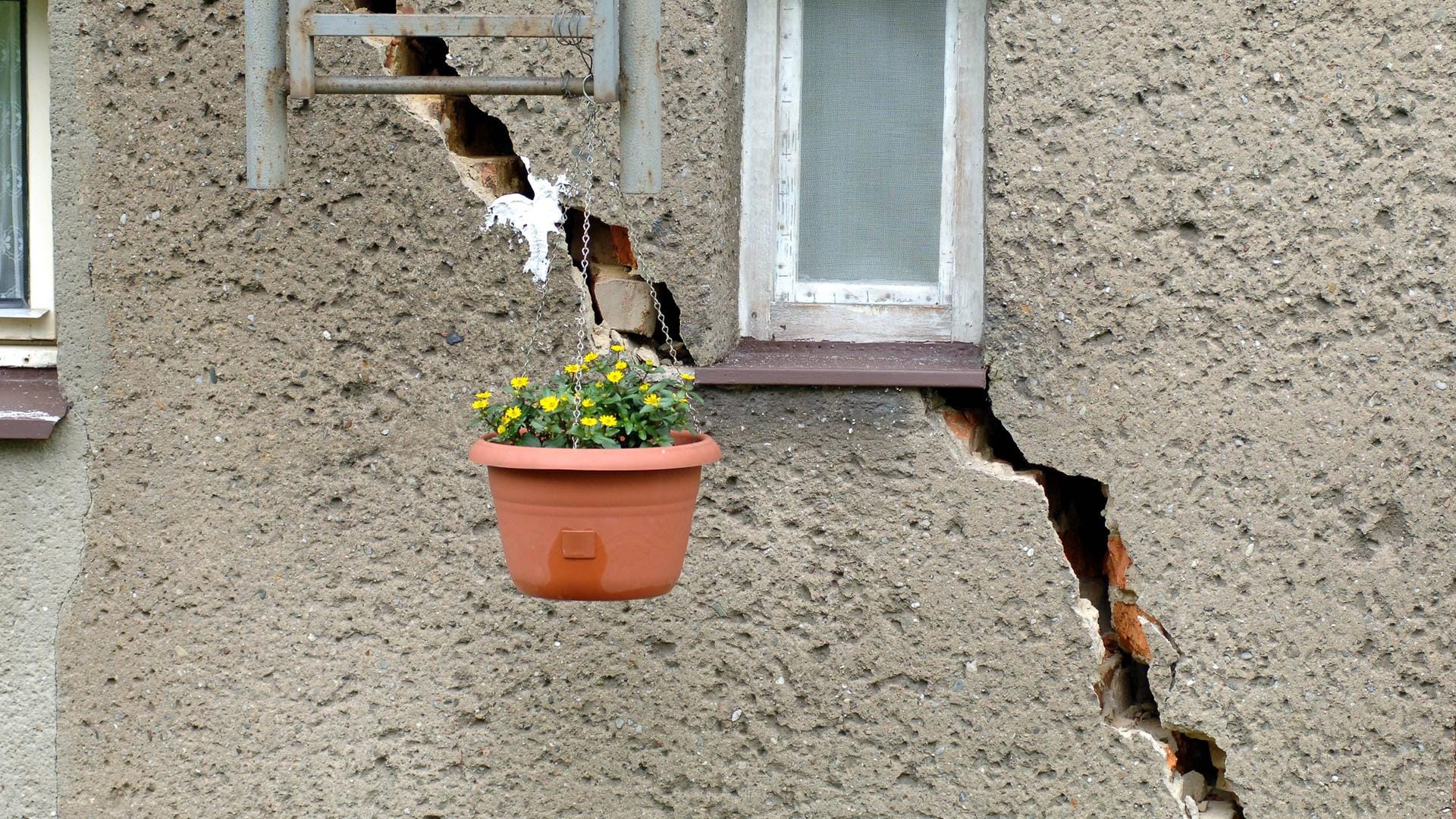 Auch an ungewöhnlichen Orten sorgt eine selbstgemachte Blumenampel für Verschönerung.