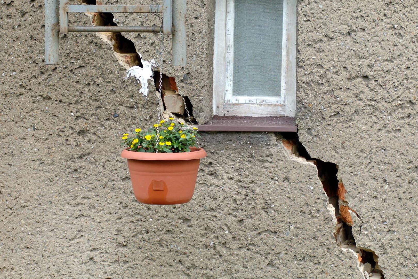 Auch an ungewöhnlichen Orten sorgt eine selbstgemachte Blumenampel für Verschönerung.