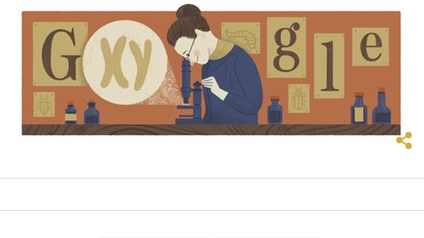 Am 07.07.2016 feiert Google den 155. Geburtstag von Nettie Stevens mit einem Doodle.