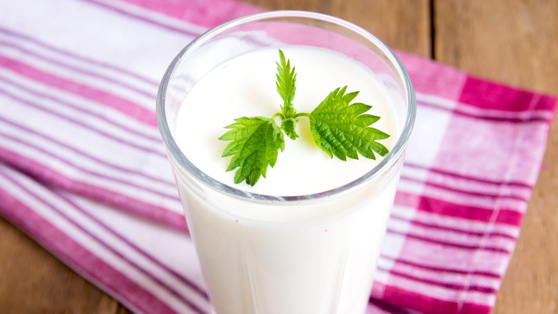 Genießen Sie Ayran immer gut gekühlt. Selbst gemacht ist er etwa zwei Tage im Kühlschrank haltbar.