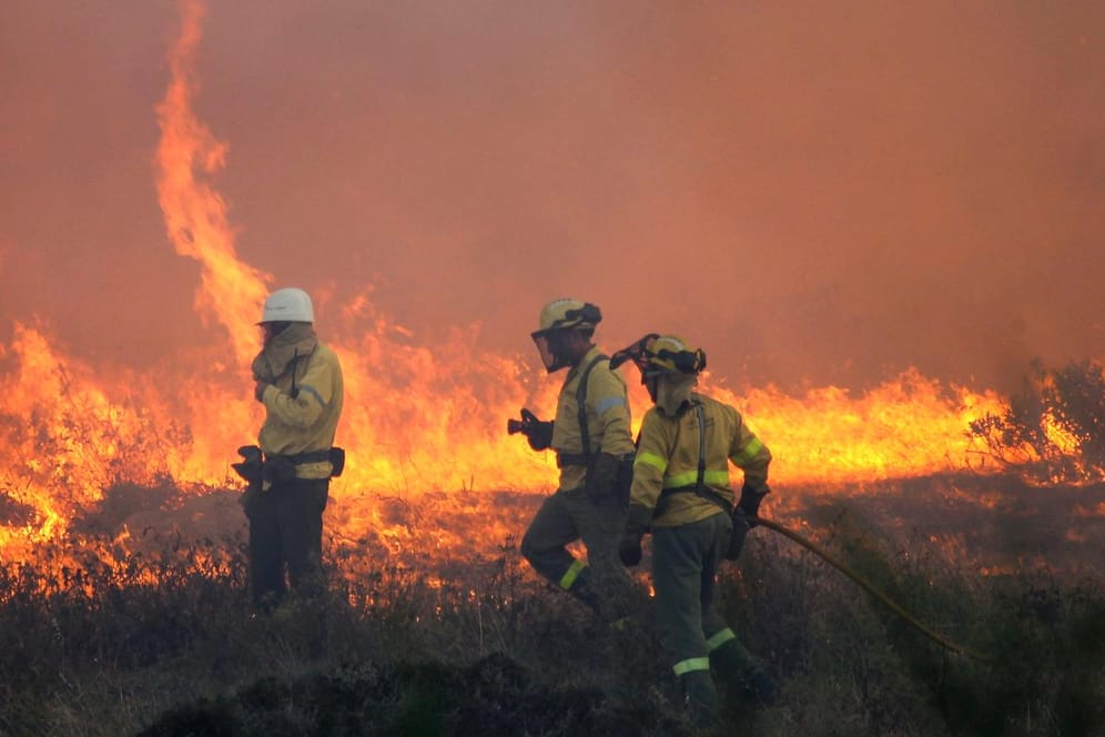 Waldbrände in Spanien: Feuerwehrleute bei der Brandbekämpfung.
