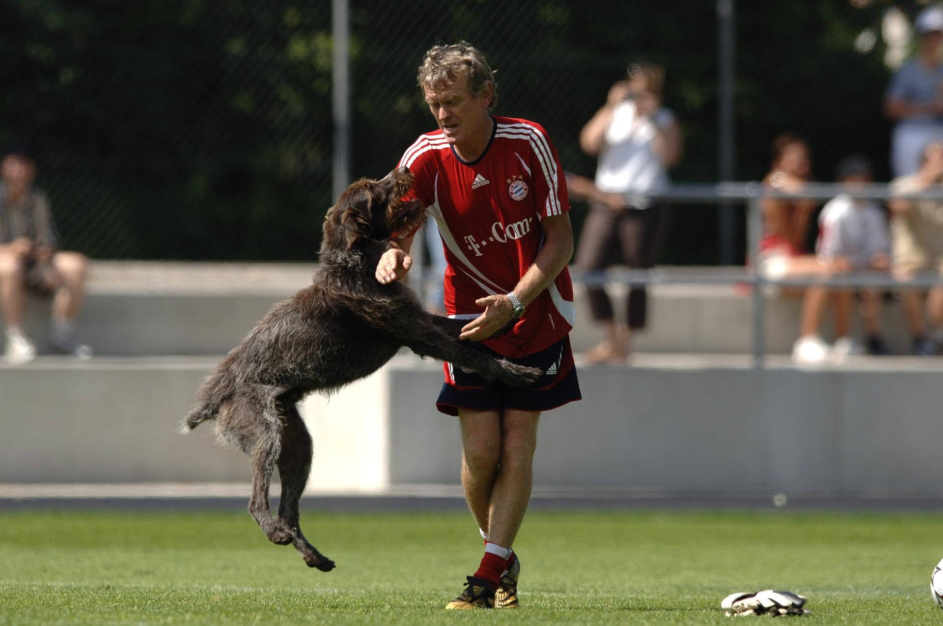 Sepp Maier hat ebenfalls tierischen Besuch: Er trainiert mal nicht Oliver Kahn, sondern seinen Hund Batzenhofer.