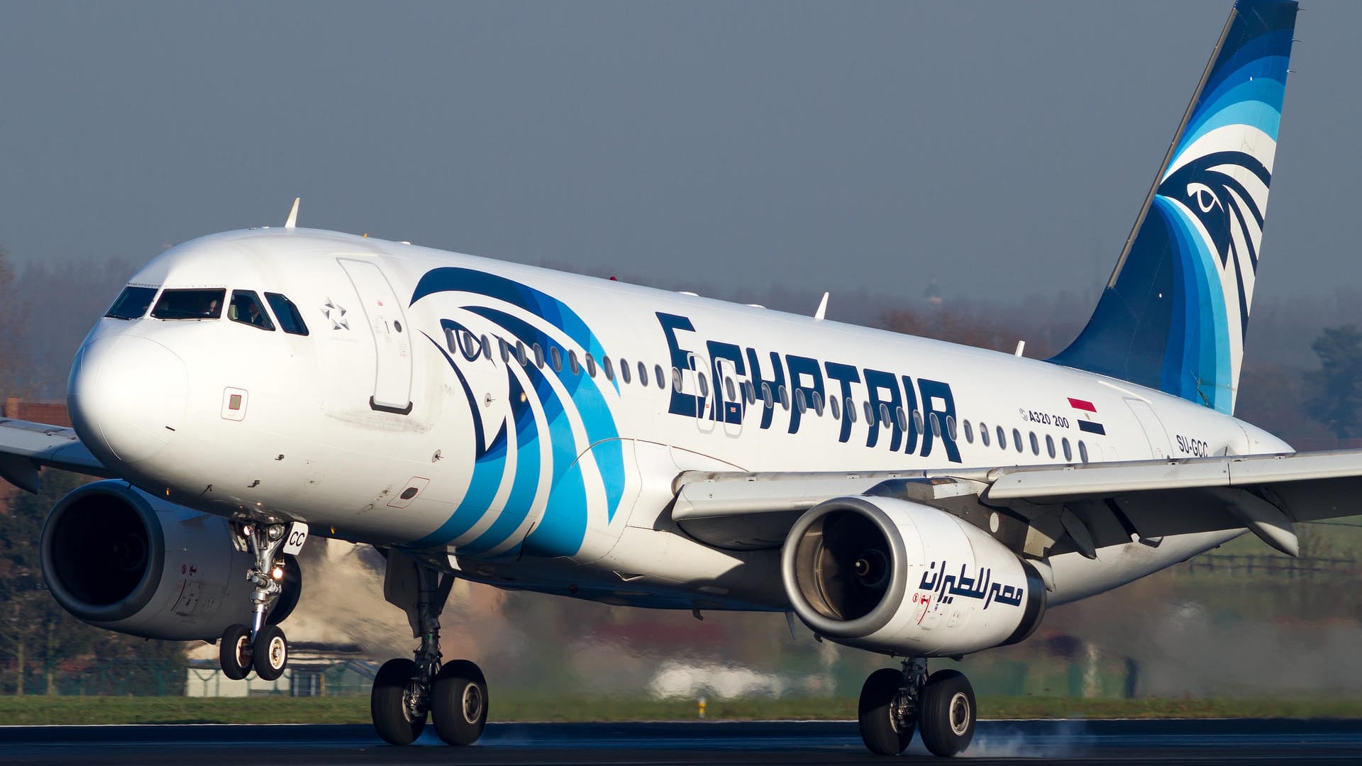 Dieser EgyptAir-Airbus mit der Registrierung SU-GCC verschwand am 19.05.2016 vom Radar. Dieser EgyptAir-Airbus mit der Registrierung SU-GCC verschwand am 19.05.2016 vom Radar.