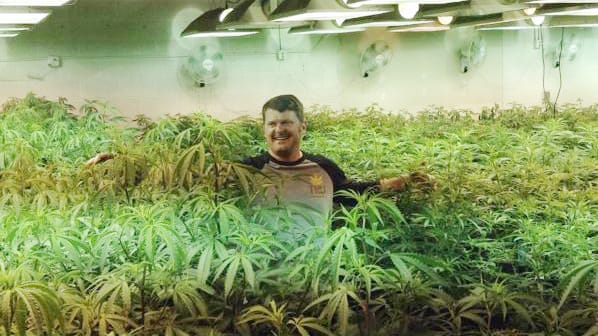 Floyd Landis in "Oceans of Weed", Meeren aus Hanfpflanzen.