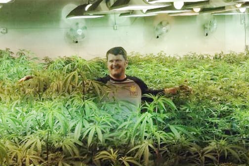 Floyd Landis in "Oceans of Weed", Meeren aus Hanfpflanzen.