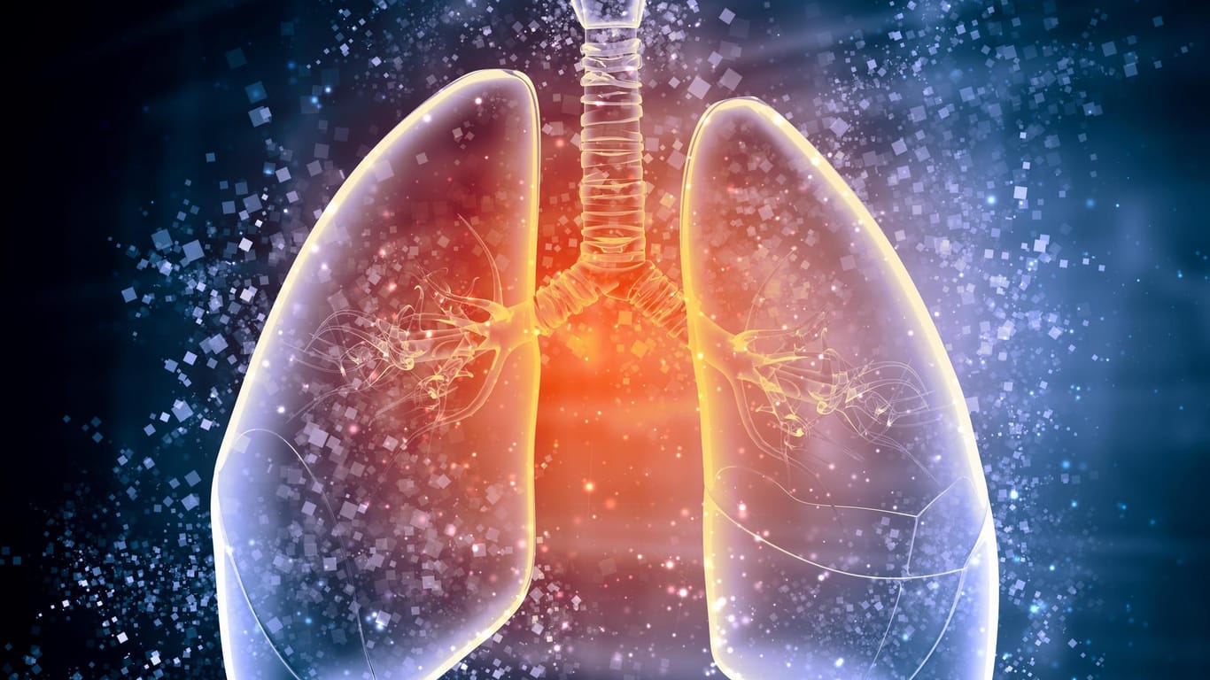 Die Symptome einer Pollenallergie können sich auf die Lunge ausbreiten und somit Asthma verursachen.