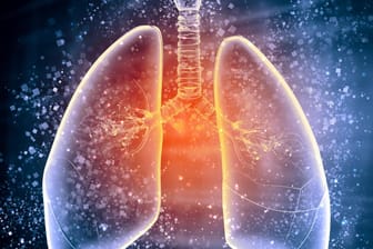Die Symptome einer Pollenallergie können sich auf die Lunge ausbreiten und somit Asthma verursachen.