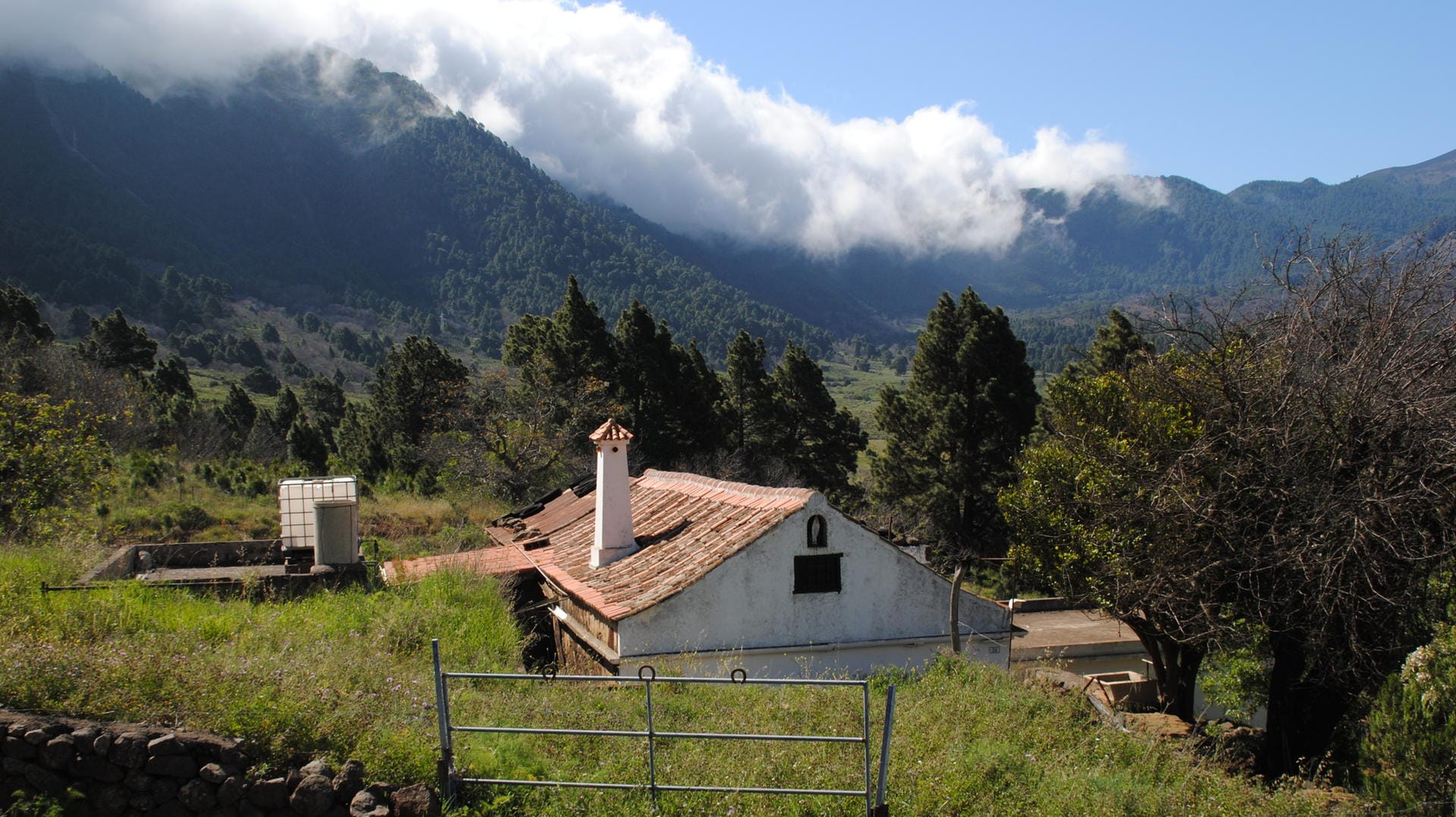 Wolkenkaskaden kriechen von La Palmas Ostseite über den Bergkamm die Westseite hinab.