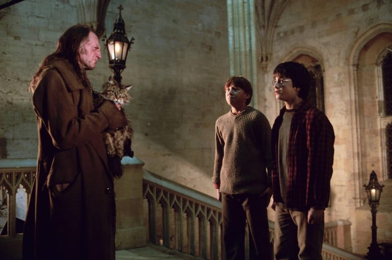Walder Frey aus "Game of Thrones" kam Ihnen schon immer irgendwie bekannt vor? Kein Wunder, sein Darsteller David Bradley verkörperte in allen "Harry Potter"-Filmen den unsympathischen Hausmeister von Hogwarts, Argus Filch (li.).