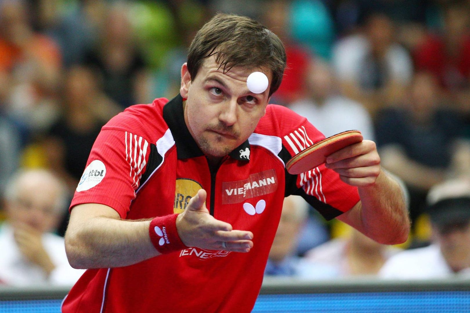 Tischtennis-Star Timo Boll wird eine große Ehre zuteil.
