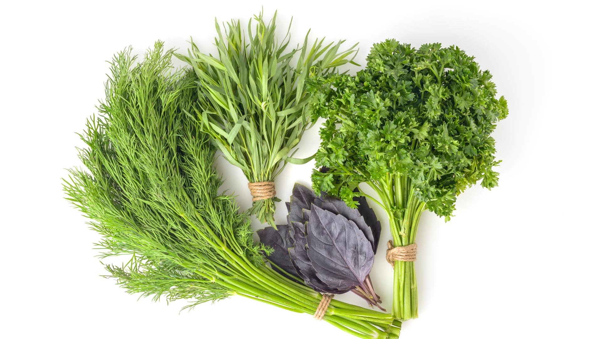 Das Bouquet garni ist ein Kräutersträußchen zum Würzen von Suppen, Soßen und Fonds.