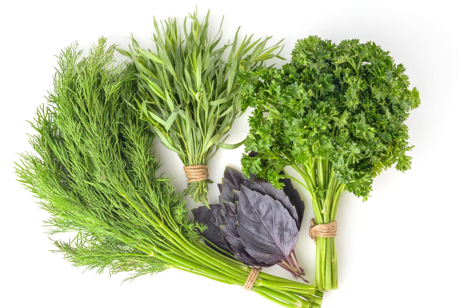 Das Bouquet garni ist ein Kräutersträußchen zum Würzen von Suppen, Soßen und Fonds.