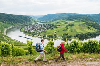 Der Moselsteig - hier ein Teil der Etappe 12 - ist der schönste Weitwanderweg Deutschlands 2016.