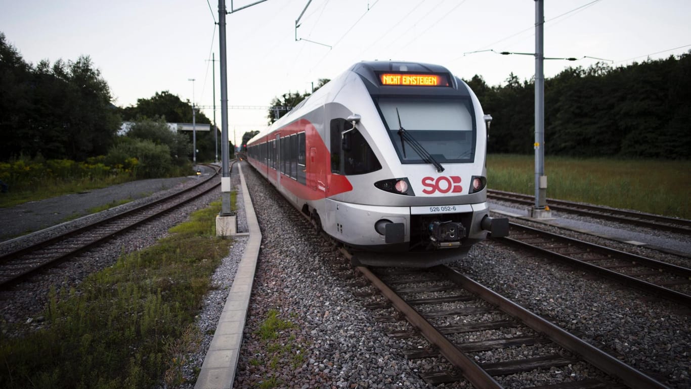 In der Schweiz hat ein Mann mehrere Zugpassagiere und sich selbst verletzt. Das Motiv für seine Tat ist nicht bekannt.