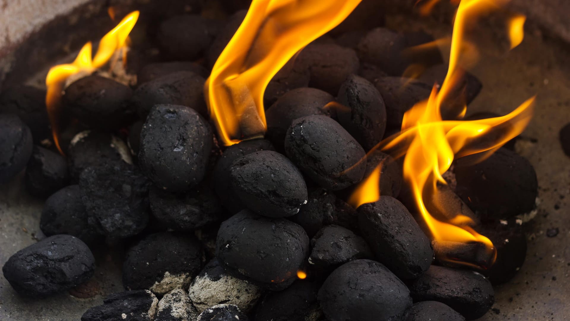 Briketts aus Holzkohlestaub erzeugen lange sehr hohe Temperaturen. Doch bis sie glühen, vergeht viel Zeit. Daher rät Grillprofi Oliver Hess: Zum Grillen gehört Planung und gutes Timing.