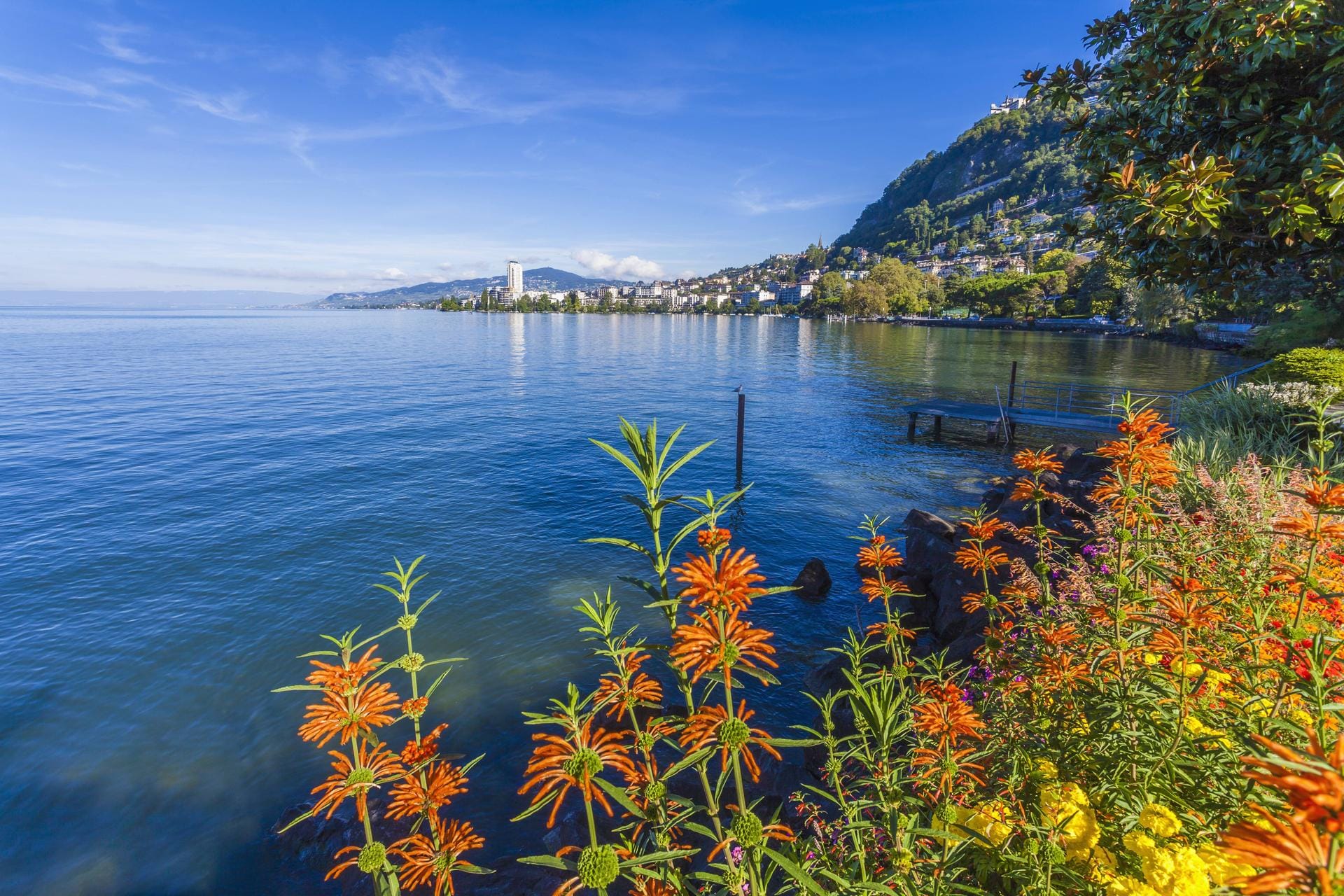 Wer die Schweizer Seenroute fährt, kommt am Genfer See vorbei.