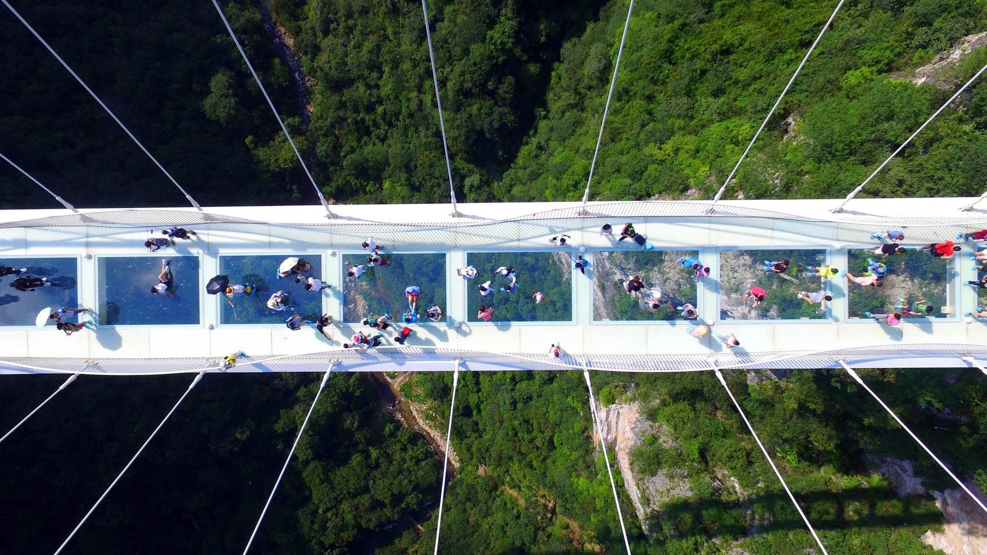 Am 20. August 2016 eröffnete die "Zhangjiajie Grand Canyon Glass Bridge" im gleichnamigen Nationalpark für Besucher.