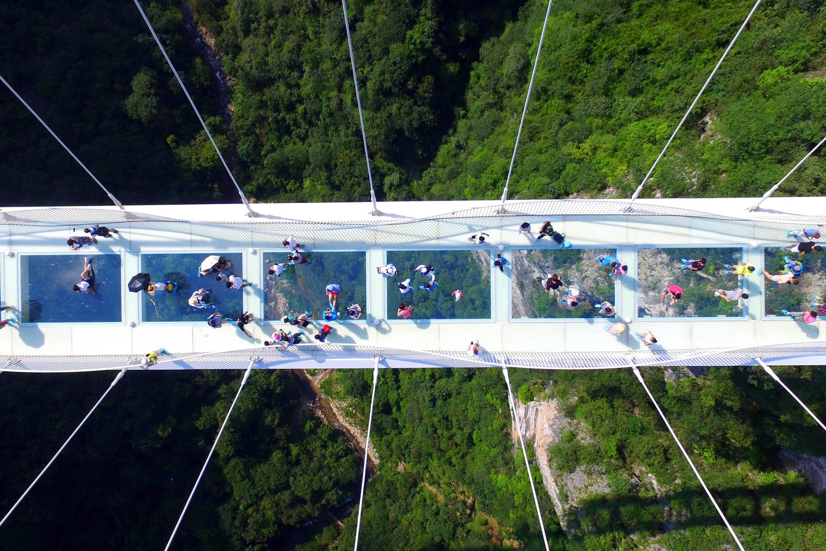 Am 20. August 2016 eröffnete die "Zhangjiajie Grand Canyon Glass Bridge" im gleichnamigen Nationalpark für Besucher.