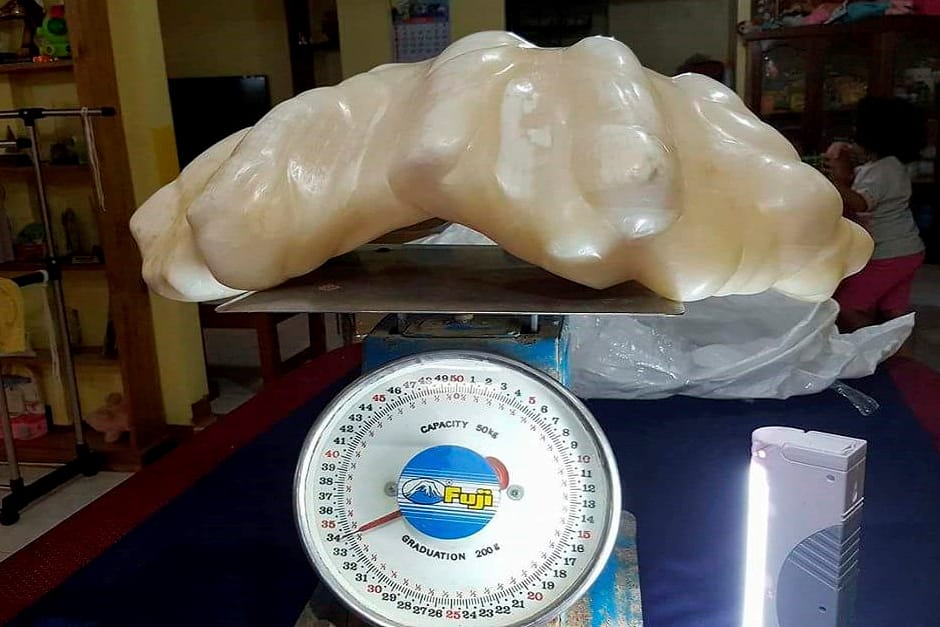 Dickes Ding: Ein philippinischer Fischer hat vor zehn Jahren eine 34 kg schwere Perle gefunden. Geschätzter Wert: 100 Millionen Dollar.