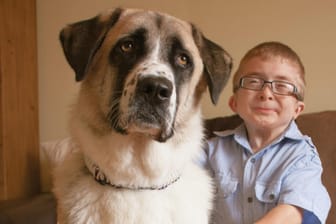 Owen und sein dreibeiniger Hund Haatchi sind dicke Freunde.