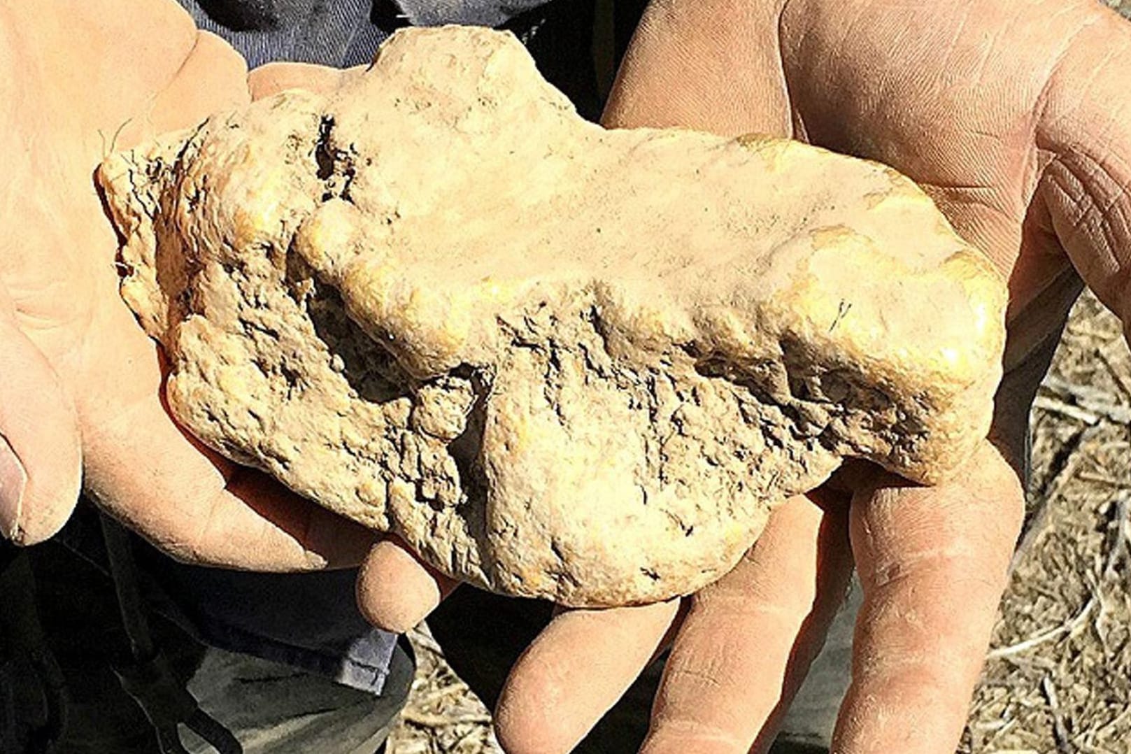 Ein Goldsucher hatte Glück bei seiner Suche. Er fand einen Klumpen im Wert von rund 170.000 Euro. Ein Goldsucher hatte Glück bei seiner Suche. Er fand einen Klumpen im Wert von rund 170.000 Euro.