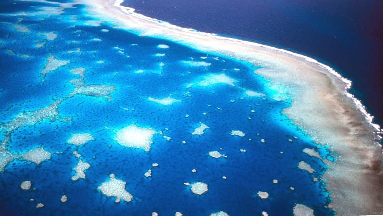 Luftaufnahme des Great Barrier Riffs vor der Küste Australiens.