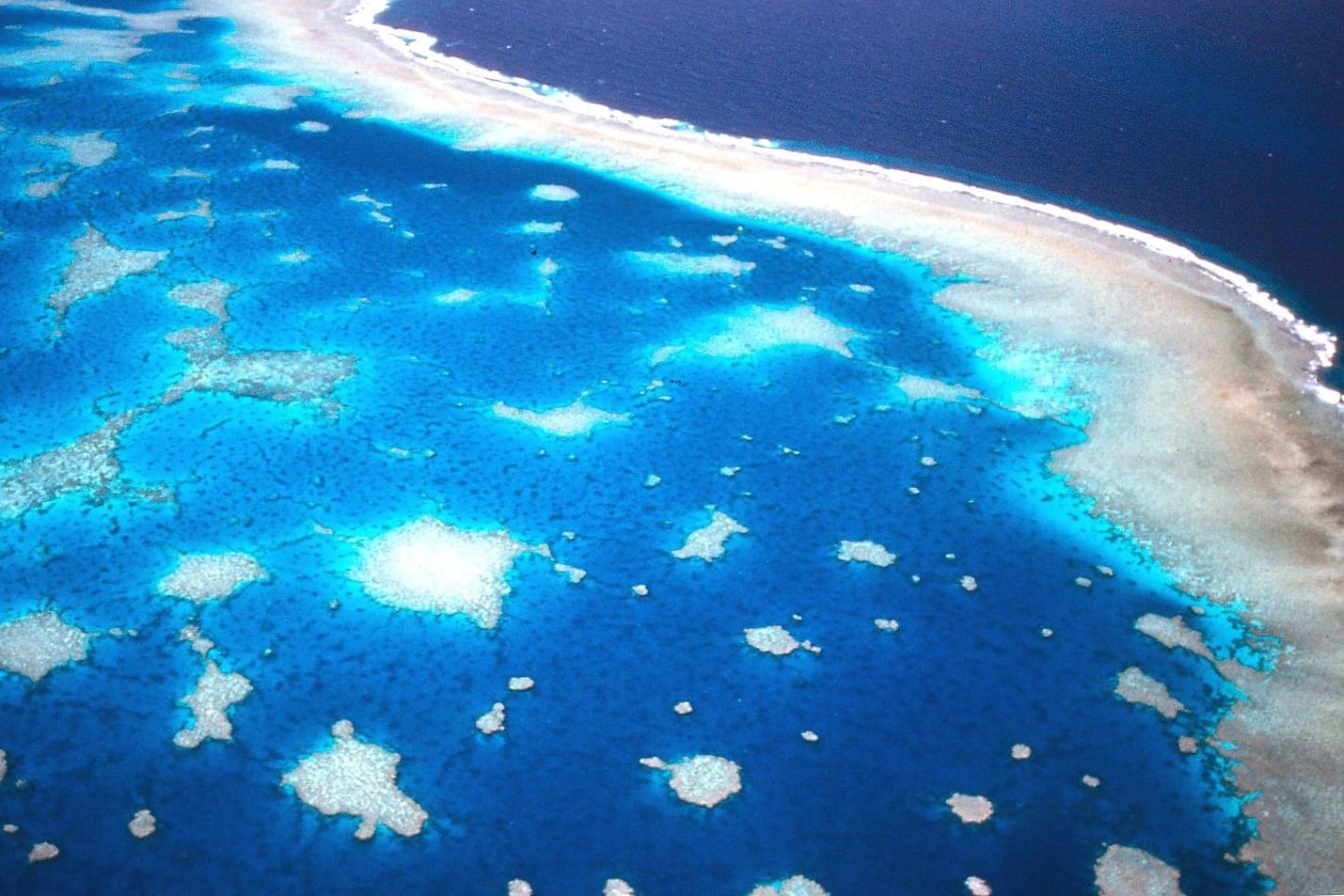 Luftaufnahme des Great Barrier Riffs vor der Küste Australiens.