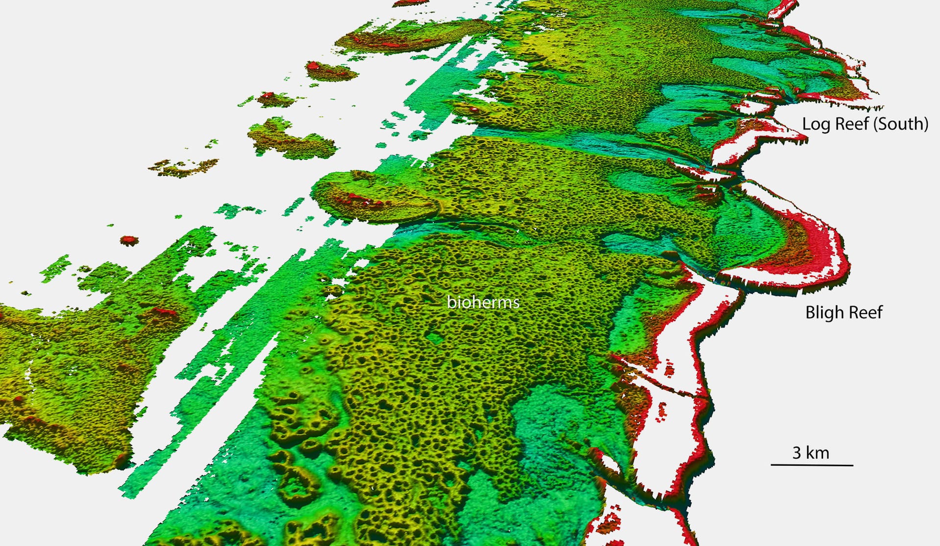 Die Grafik zeigt eine Nord-West-Ansicht des Gebietes um das Bligh Reef vor Cape York am Great Barrier Reef. Die Farben zeigen über einen Bereich von 50 Metern die Tiefen an zwischen rot (flach) und blau (tief). Der Begriff "Bioherm" meint ein durch Organismen entstandenes Riff mit Höhenwachstum.