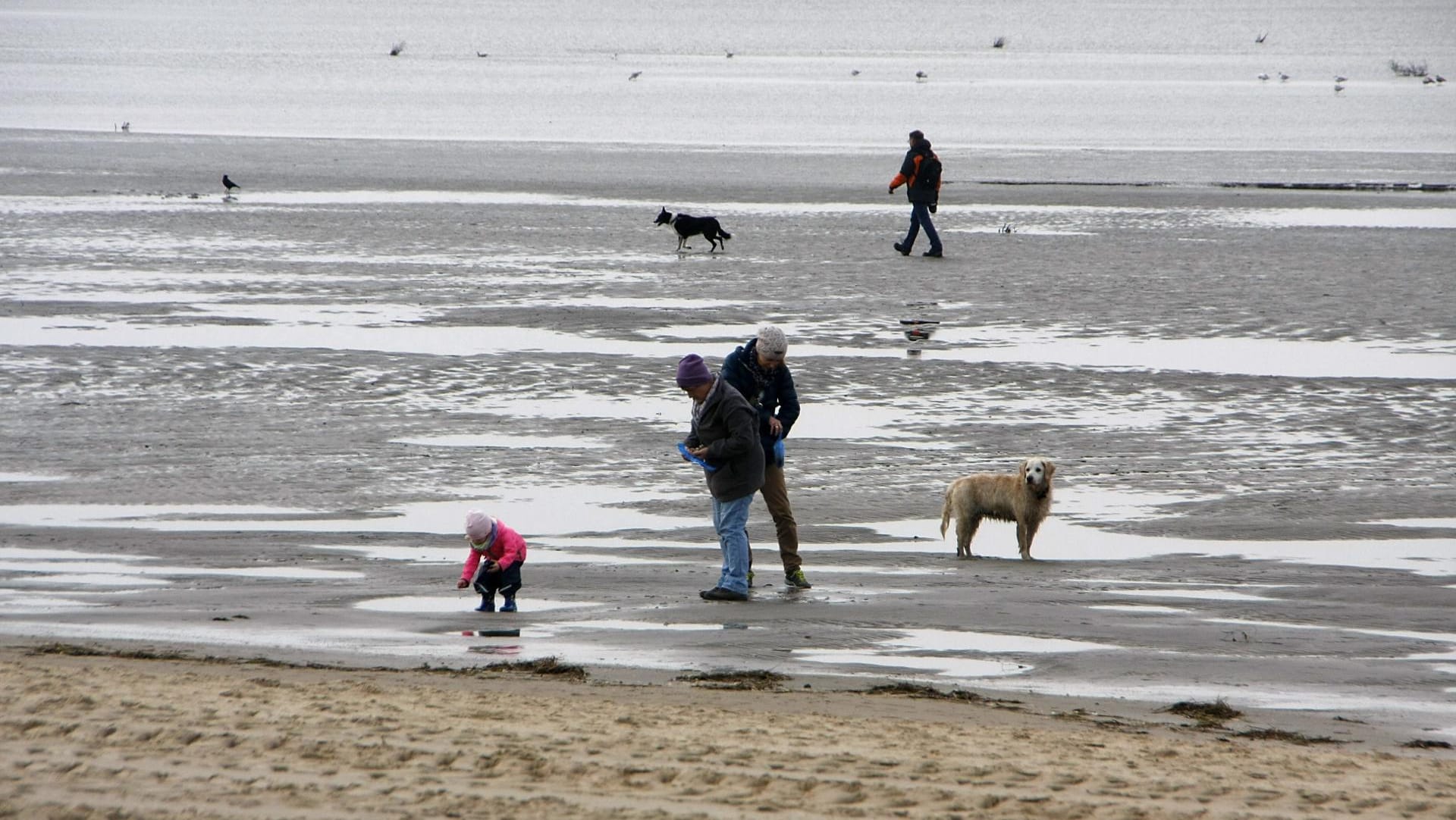 Ebbe an der Nordseeküste von Duhnen/Cuxhaven.