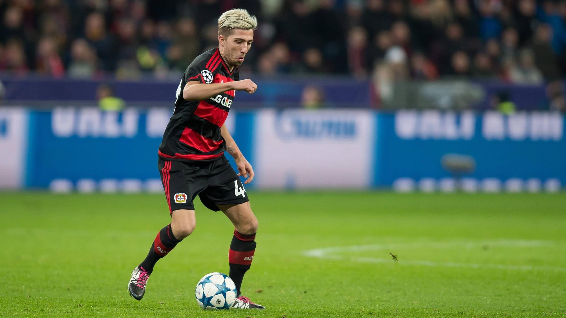 Kevin Kampl gehört zu den Leistungsträgern von Bayer Leverkusen. Kevin Kampl gehört zu den Leistungsträgern von Bayer Leverkusen.