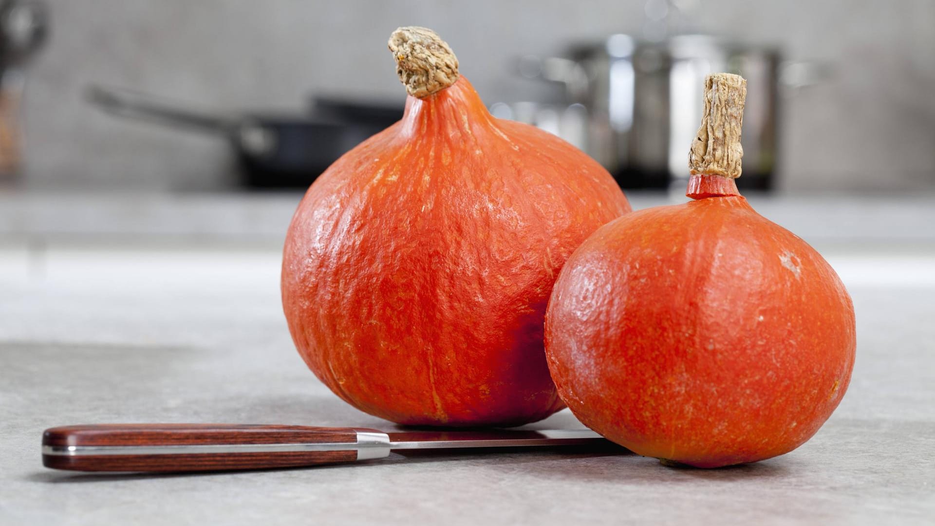 Der Hokkaido-Kürbis: Er sollte auf jeden Fall gründlich gewaschen werden, bevor Sie ihn kochen.