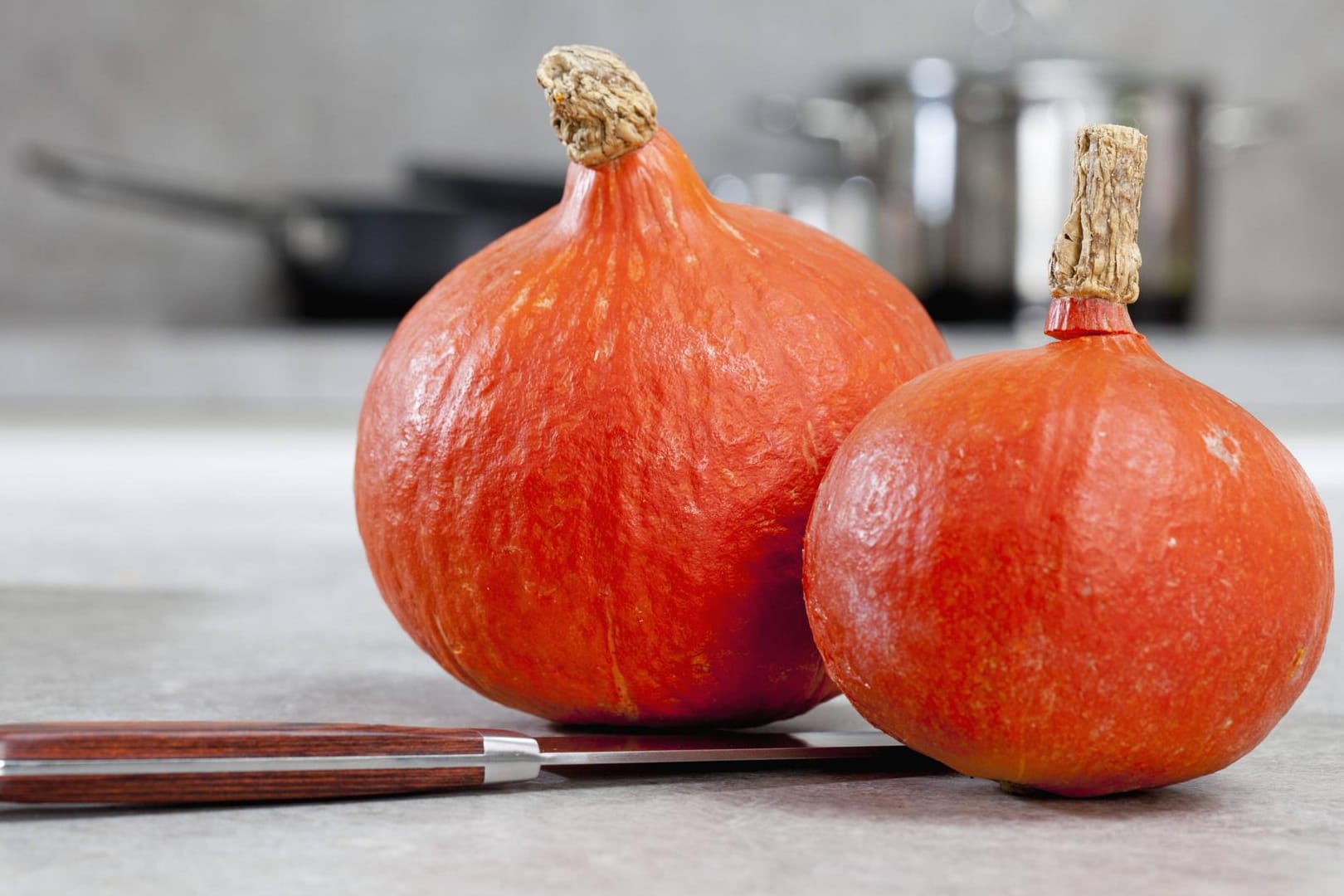 Der Hokkaido-Kürbis: Er sollte auf jeden Fall gründlich gewaschen werden, bevor Sie ihn kochen.