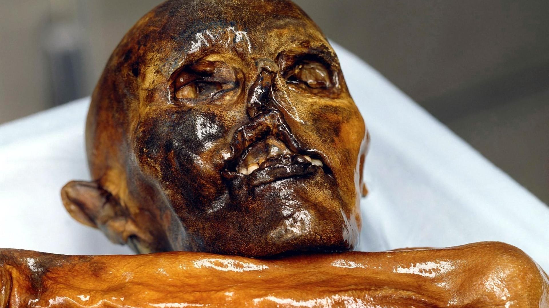 Gletschermumie Ötzi im Archäologischen Museum in Bozen.