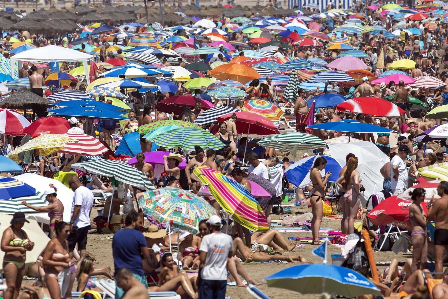 Am westlichen Mittelmeer war diesen Sommer wie hier in Valencia (Spanien) kein Platz mehr frei.