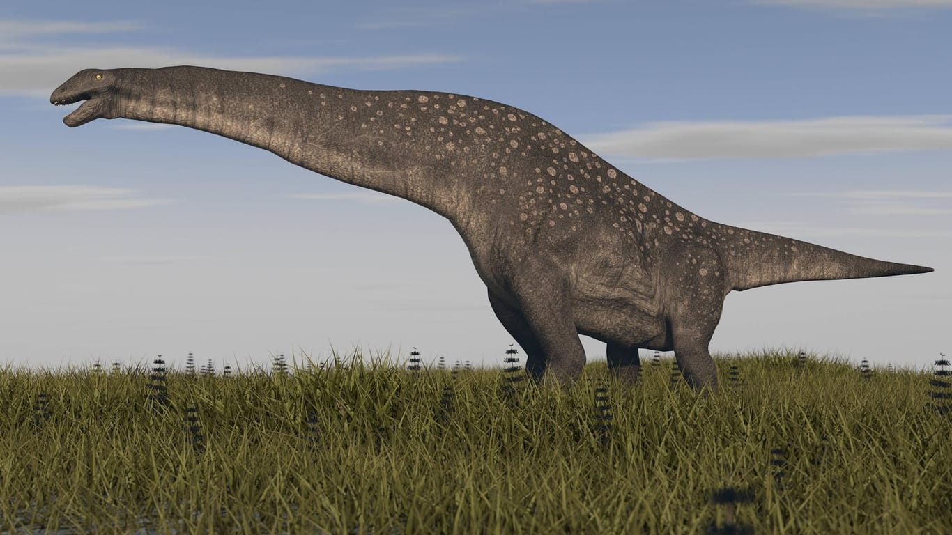 Gewaltiger Koloss: Der Titanosaurus wurde über 30 Meter lang.