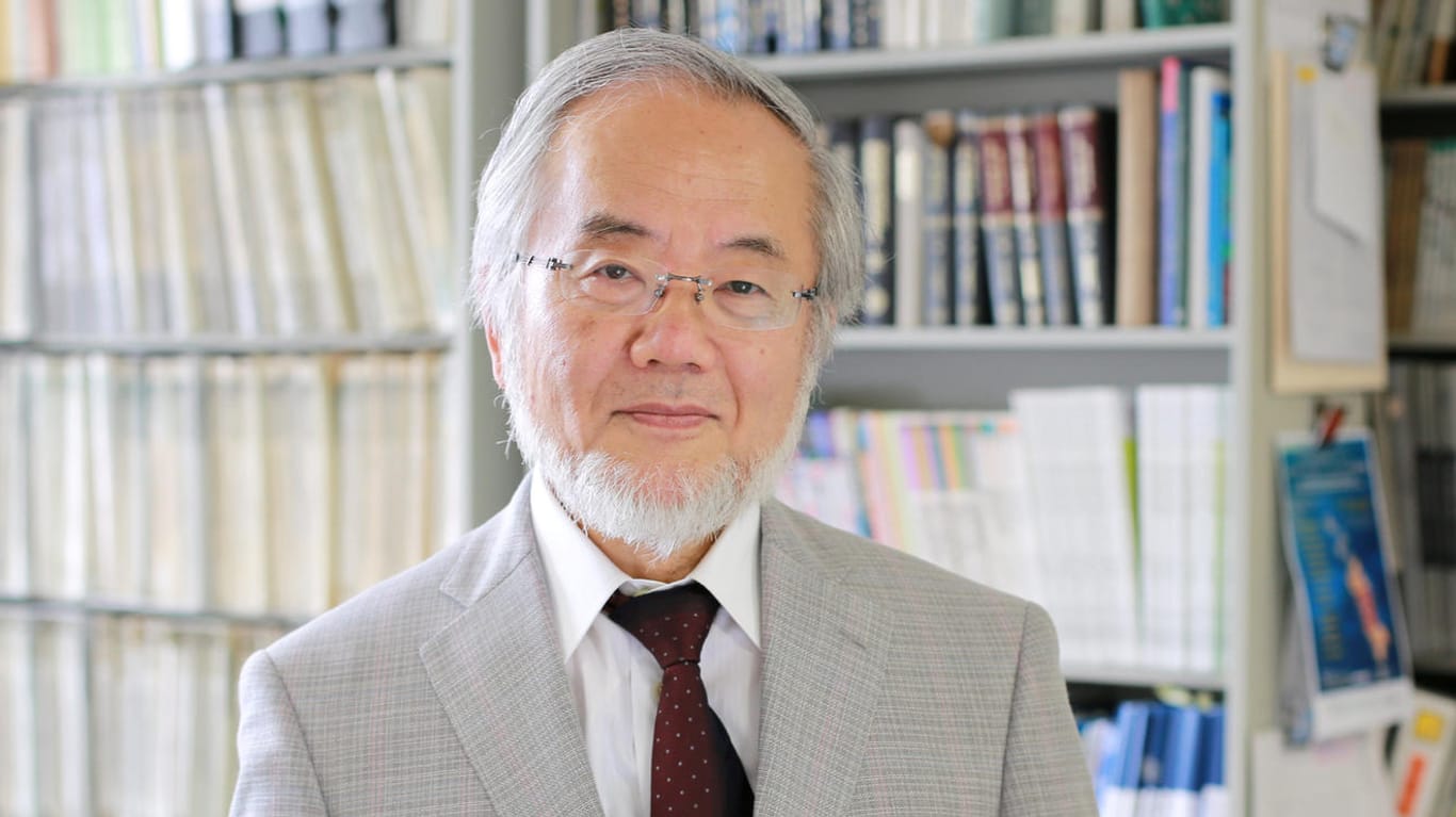 Yoshinori Ohsumi erhält den Nobelpreis.