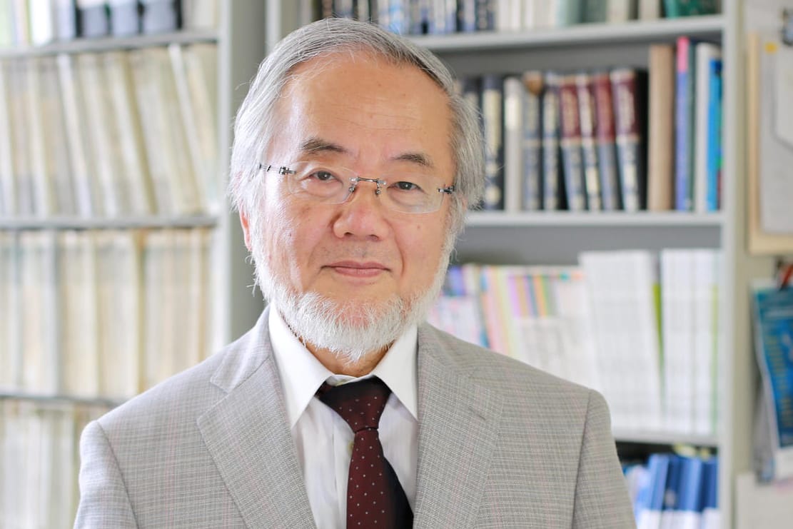 Yoshinori Ohsumi erhält den Nobelpreis.