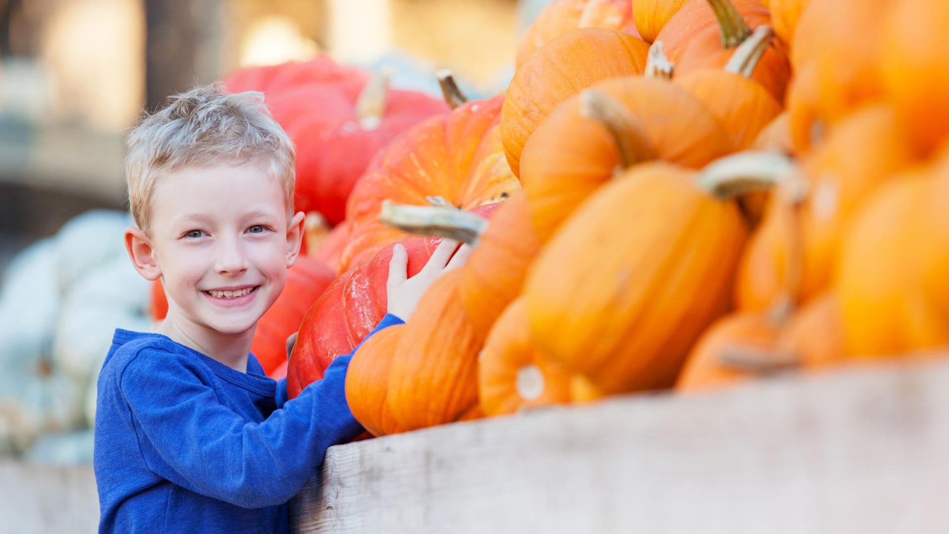 Im Herbst ist Kürbiszeit. Am Klopftest erkennen Sie, ob die Frucht reif ist.