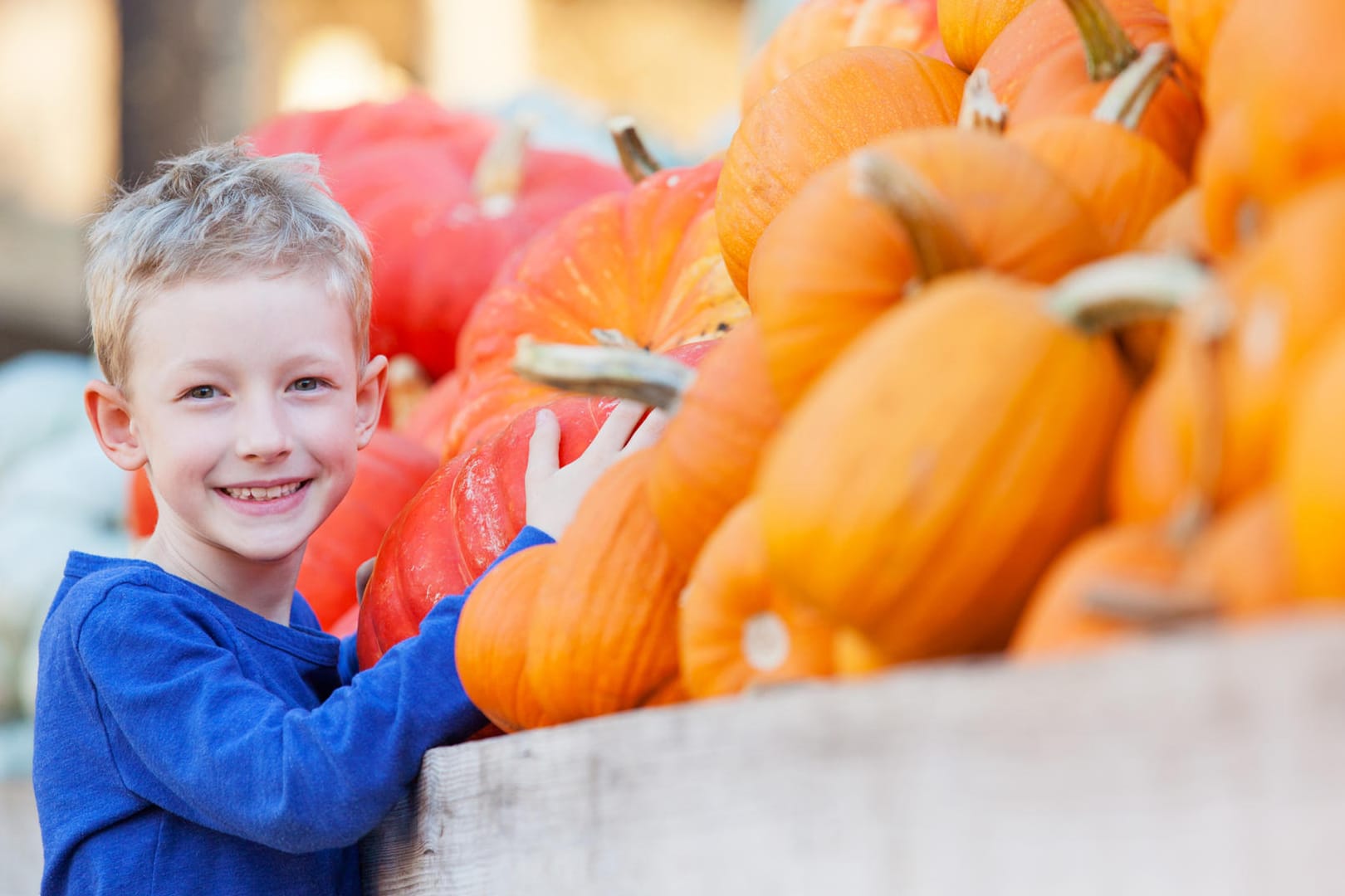 Im Herbst ist Kürbiszeit. Am Klopftest erkennen Sie, ob die Frucht reif ist.