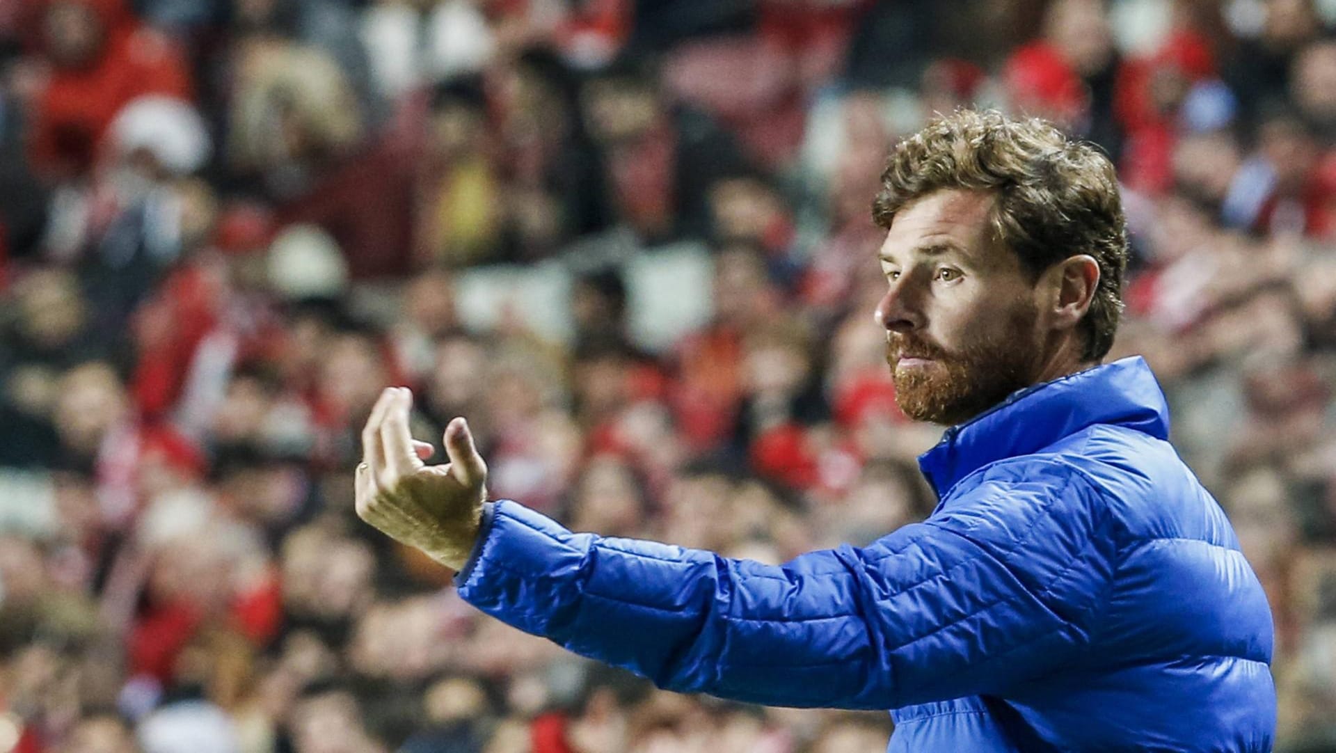 Andre Villas-Boas während eines Champions-League-Spiels mit Zenit St. Petersburg.