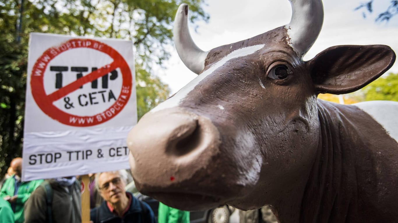 Gegner der transatlantischen Freihandelsabkommen demonstrieren vor dem Wallonischen Parlament in Namur gegen Ceta und TTIP.