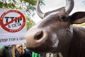 Gegner der transatlantischen Freihandelsabkommen demonstrieren vor dem Wallonischen Parlament in Namur gegen Ceta und TTIP.
