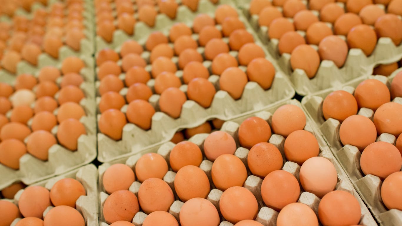 Lebensmittelwarnung betrifft Eier von der Firma Brandlhof.