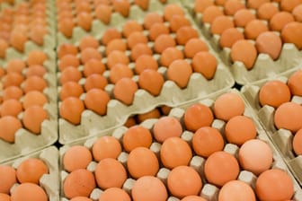 Lebensmittelwarnung betrifft Eier von der Firma Brandlhof.