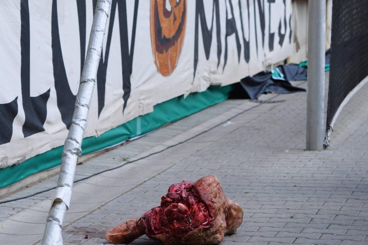 Das "Corpus delicti": Der Abgetrennte Bullenkopf beim Spiel Dynamo Dresden gegen RB Leipzig.