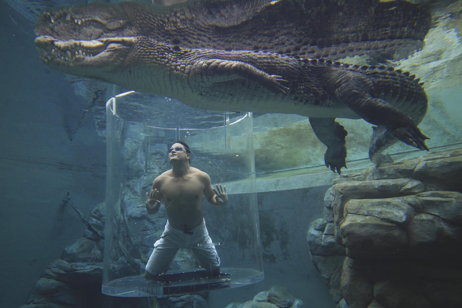 Ein Besucher im "Käfig des Todes" der "Crocosaurus Cove".