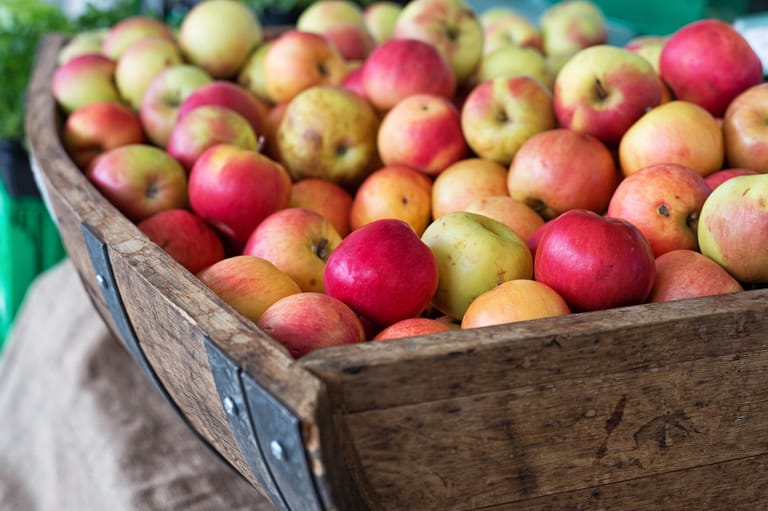 Ob Cider oder Cidre: Grundstein sind immer Äpfel – möglichst frisch vom Baum.