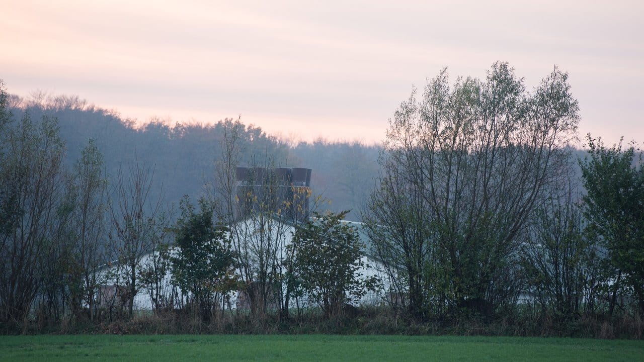 Blick auf den betroffenen Hühnerstall in Grumby (Schleswig-Holstein). Blick auf den betroffenen Hühnerstall in Grumby (Schleswig-Holstein).