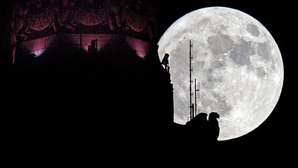 Der Mond strahlt hinter dem LeVeque Tower in Columbus, Ohio. Weil die Umlaufbahn des Mondes nicht kreisrund, sondern oval ist, befindet sich der Mond zu gewissen Zeiten näher an der Erde und zu anderen weiter von ihr entfernt.