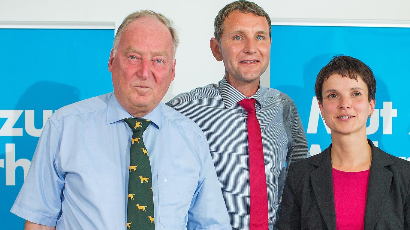 Das mögliche AfD-Spitzenteam für die Bundestagswahl 2017: Alexander Gauland (l.), Björn Höcke (m.) und Frauke Petry.